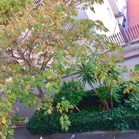 科米索Casa Cristina公寓 外观 照片