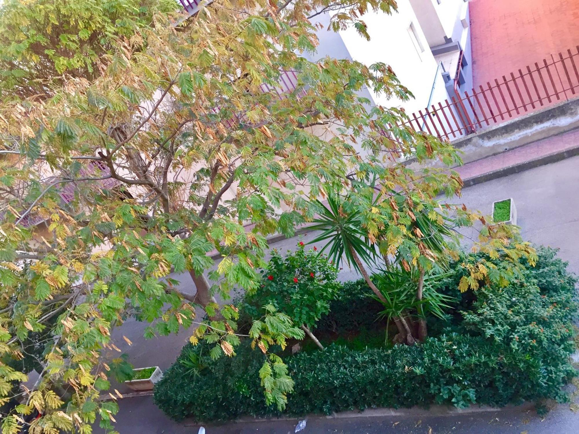 科米索Casa Cristina公寓 外观 照片